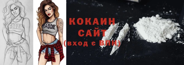 ешки Аркадак