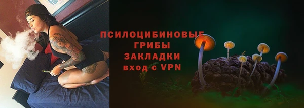 ешки Аркадак