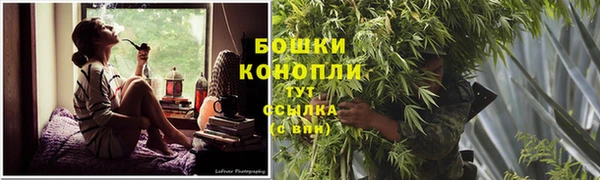 ECSTASY Армянск